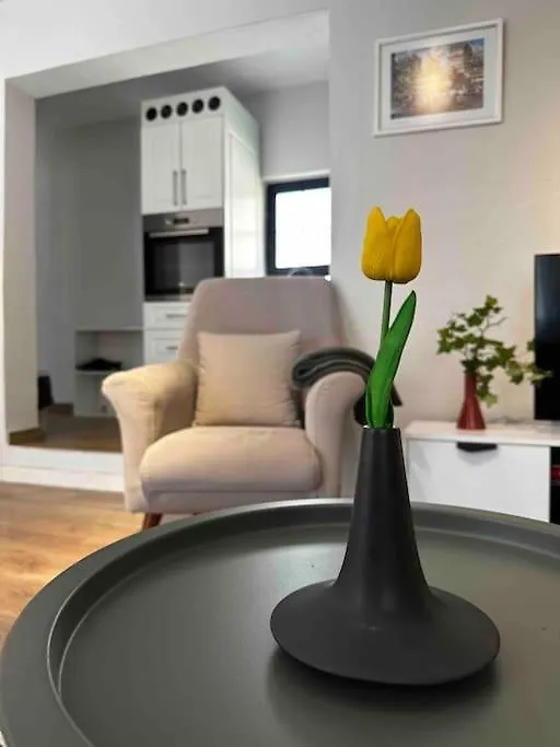 Top Location 3-Floor Villa With 6 Bedrooms Tirana 0*,